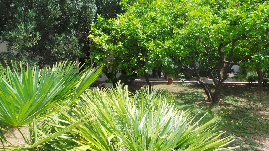 Pension Vice Gradac (Split-Dalmatia) Exterior foto