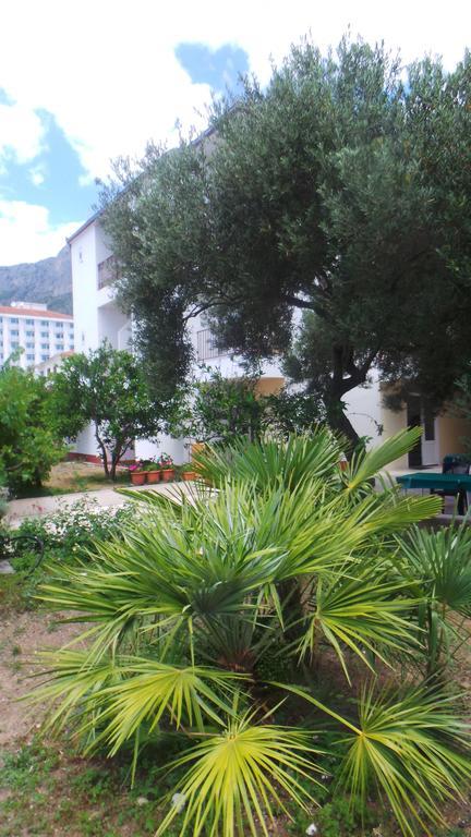 Pension Vice Gradac (Split-Dalmatia) Exterior foto